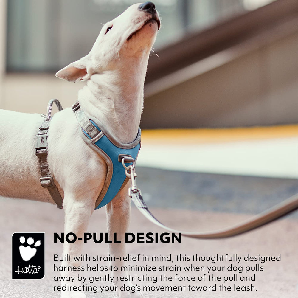 Hurtta Venture No-Pull Harness Bilberry side profile with adjustable neck and chest fit
