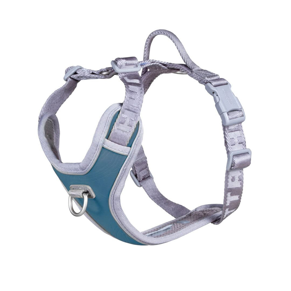 Hurtta Venture No-Pull Harness Bilberry on a walk shows comfortable fit and reduced pulling.