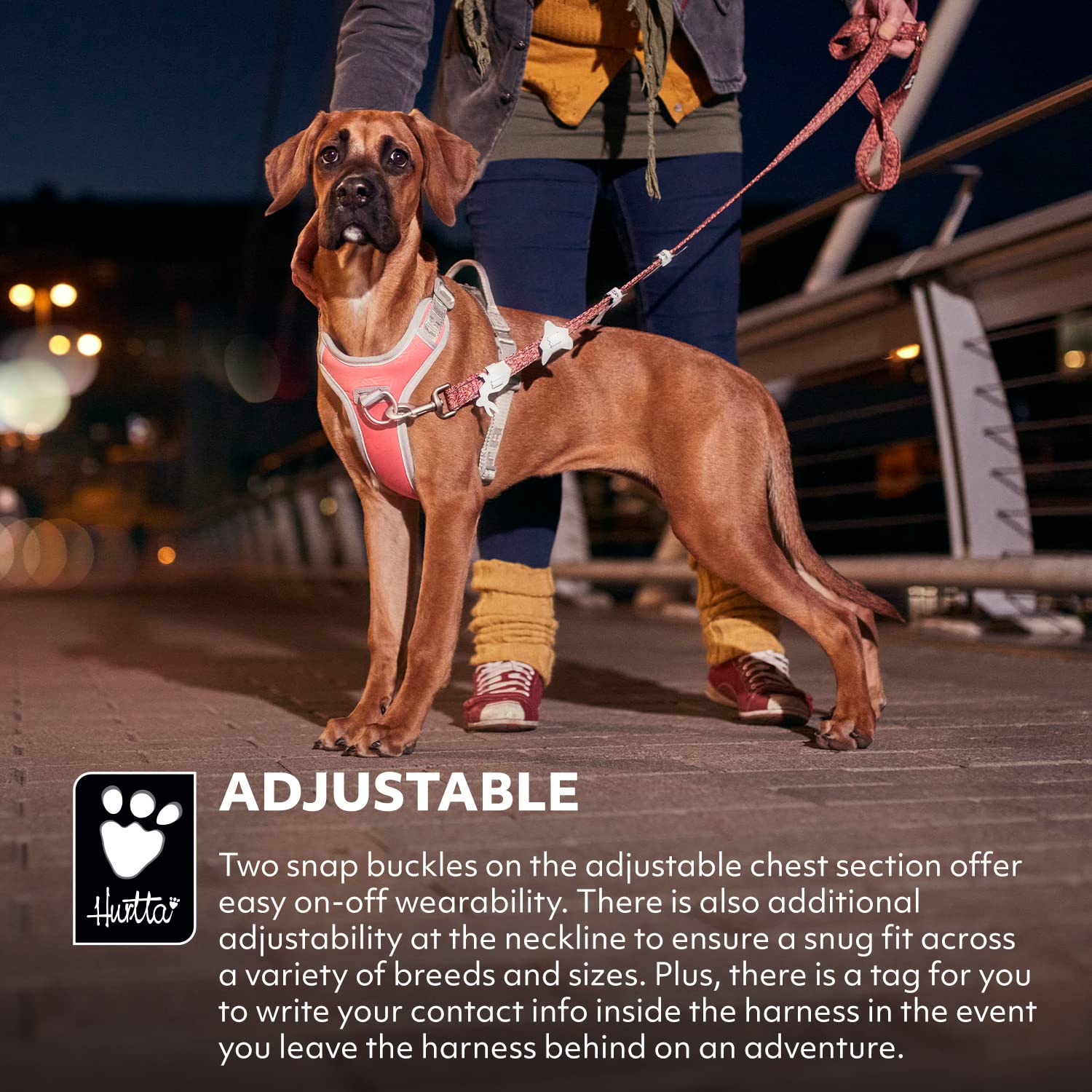 Hurtta Venture No-Pull Harness coral size guide highlighting chest girth for snug fit.