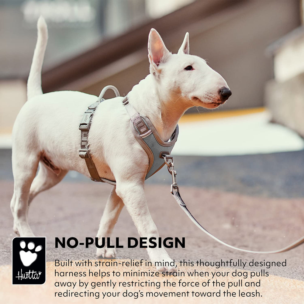 Hurtta Venture No-Pull Harness shown for daily-walk use with comfort.