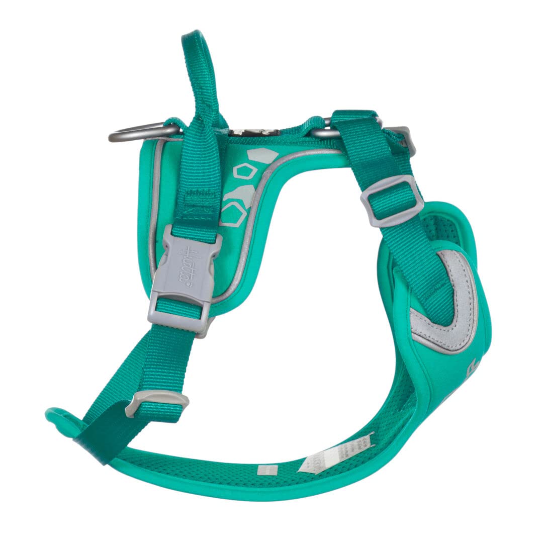 Hurtta Weekend Warrior harness Peacock back view with sturdy top handle for control.