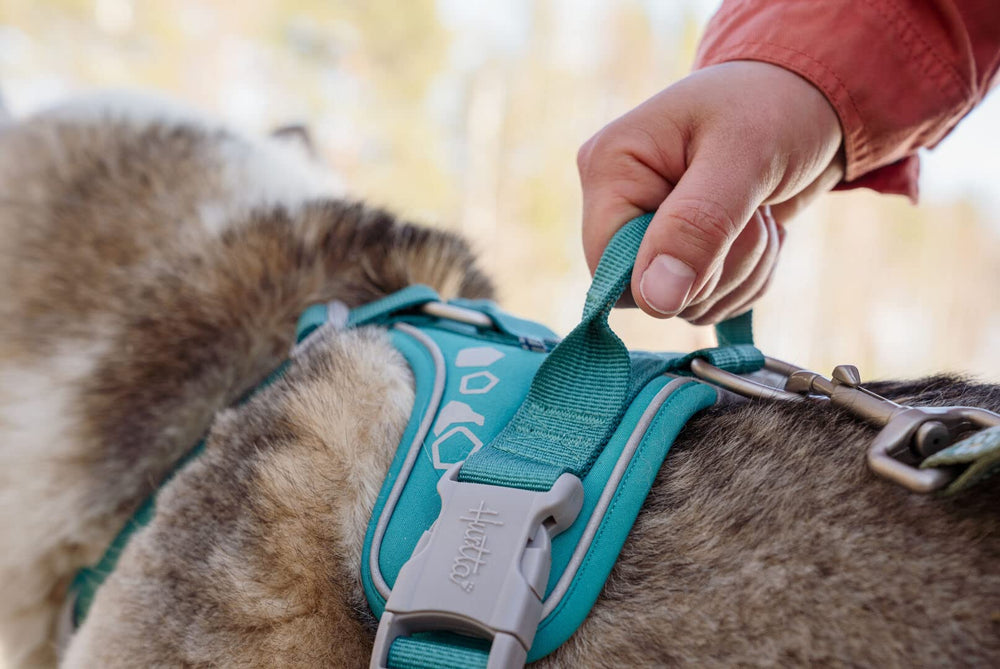 Hurtta Weekend Warrior harness Peacock breathable lining for comfortable wear in all-weather.