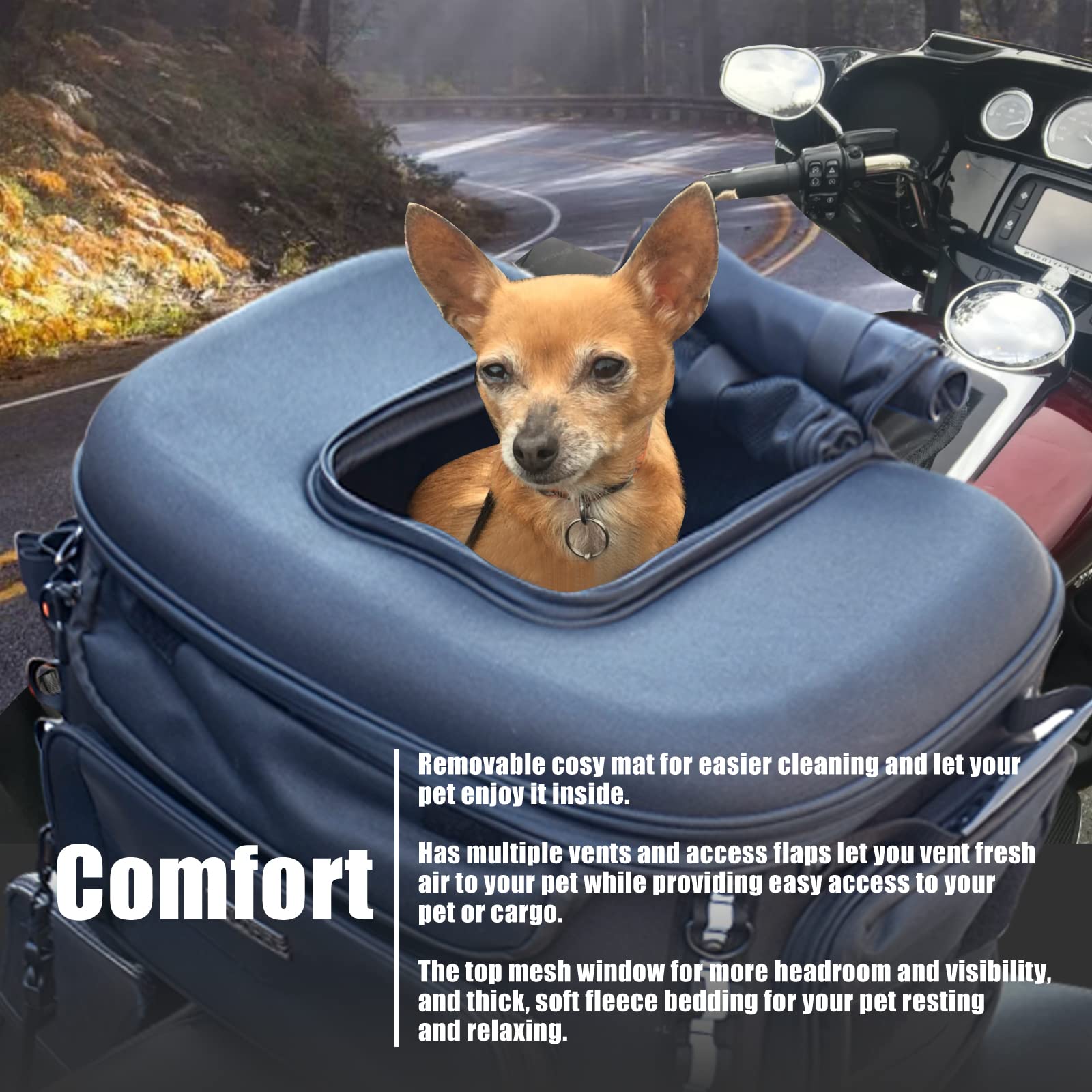 Hutexico 20lb-capacity carrier supports small dogs and cats on the road.