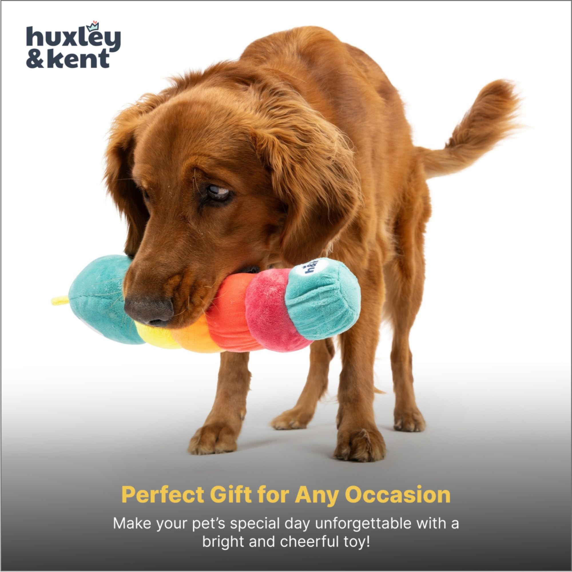 Huxley & Kent Fetchies Caterpillar dog enjoying indoor fetch.