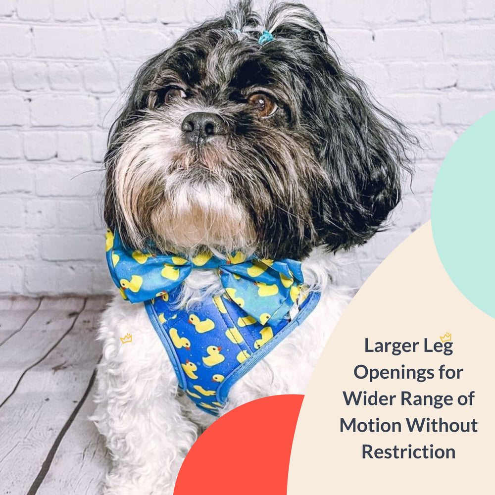 Huxley and Kent Hudson Lucky Ducky harness chest design reduces neck pressure for comfortable walks