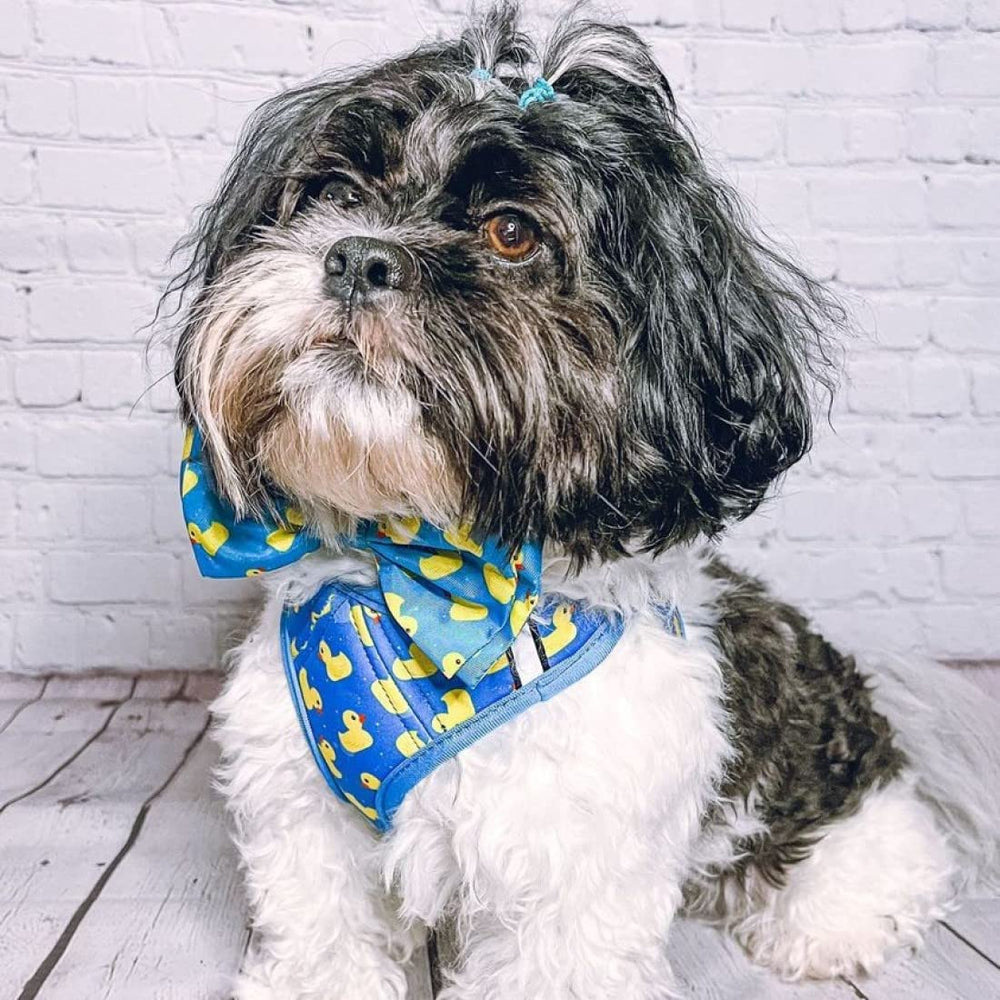 Huxley and Kent Hudson Lucky Ducky harness with reflective strips supports safe walks, hikes, and jogging