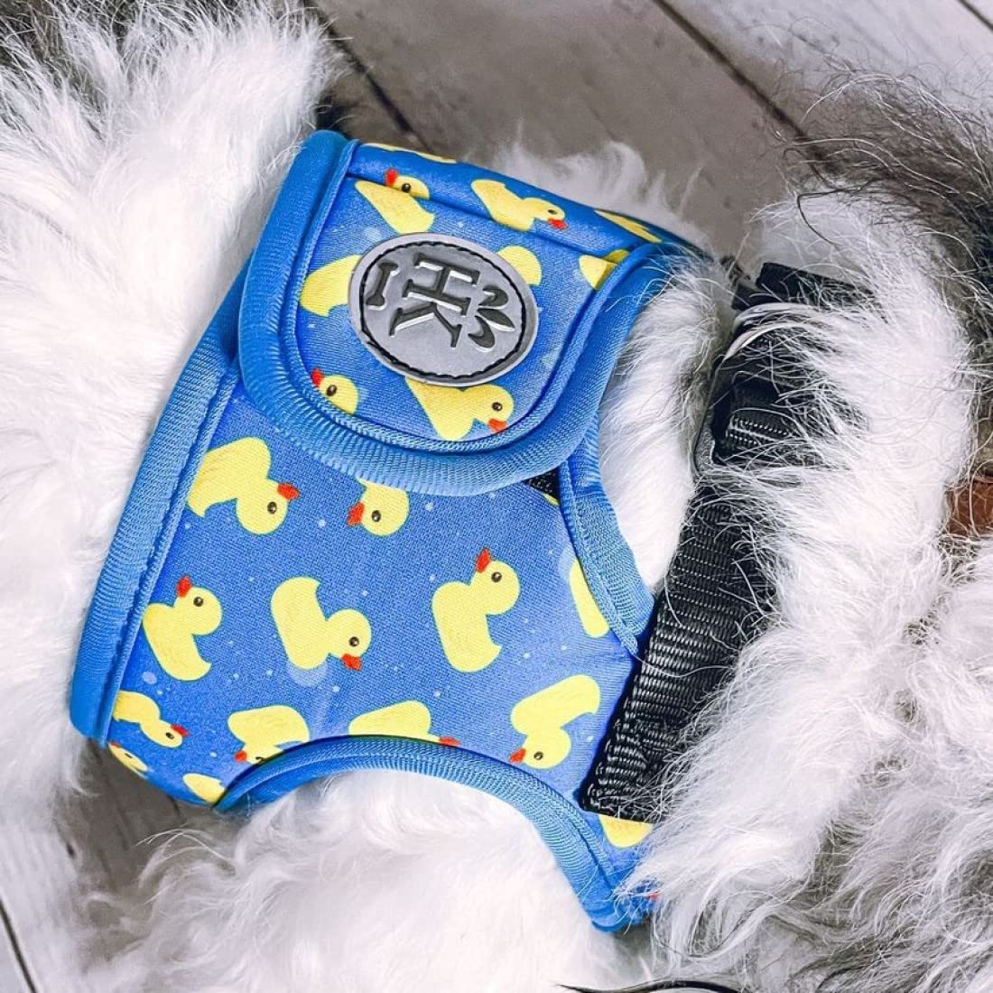 Huxley and Kent Hudson Lucky Ducky harness includes two D-rings for greater control during training