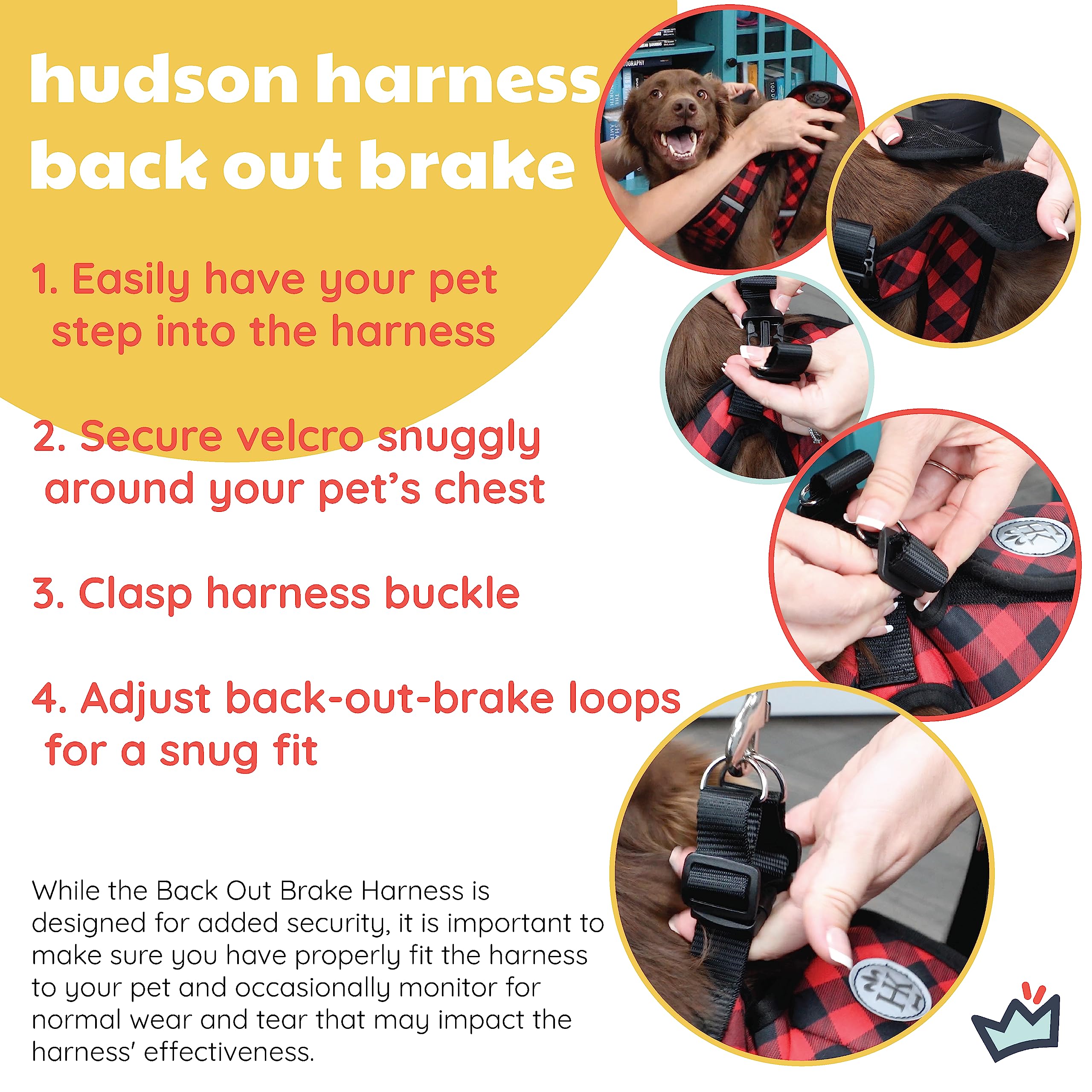 Huxley & Kent Hudson blue harness shows two D-rings for added control.