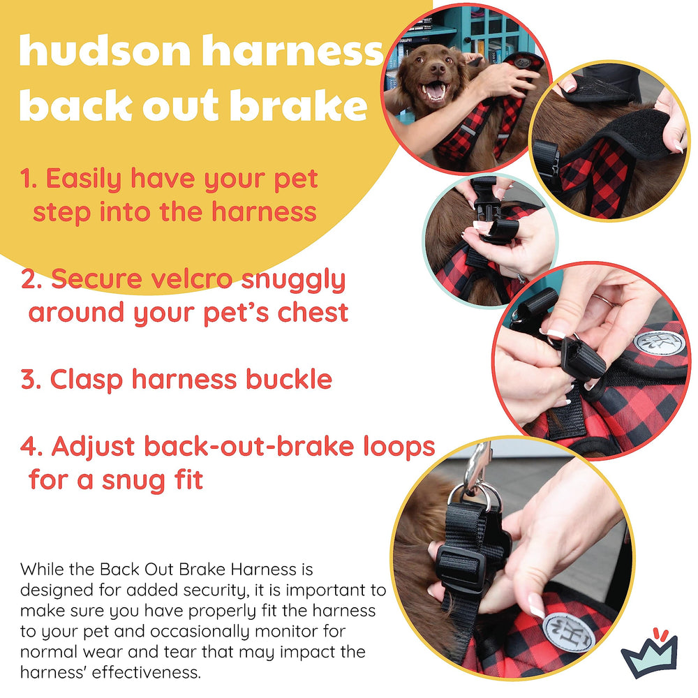 Huxley & Kent Hudson blue harness shows two D-rings for added control.
