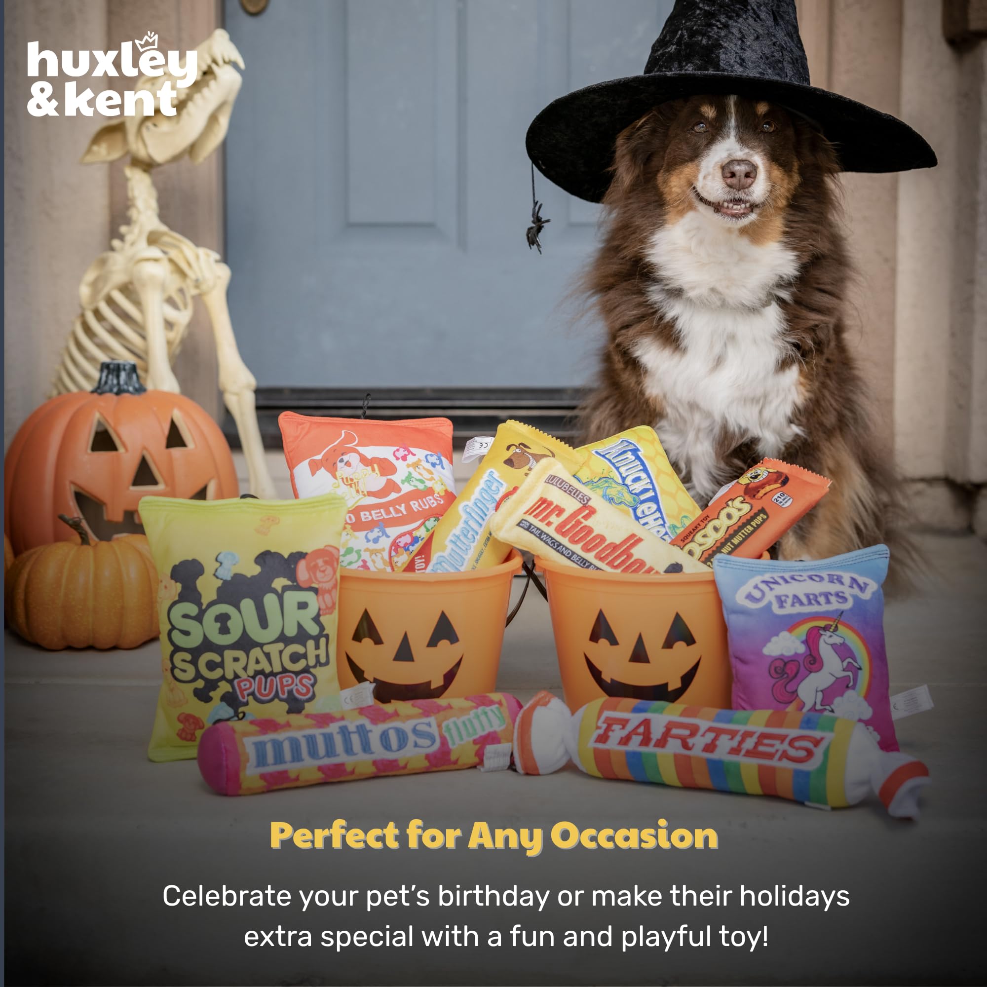 Huxley & Kent fetch-ready toy for indoor and outdoor pup fun.