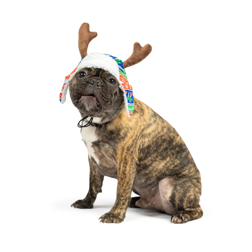 Huxley & Kent hat as a stocking stuffer for pets