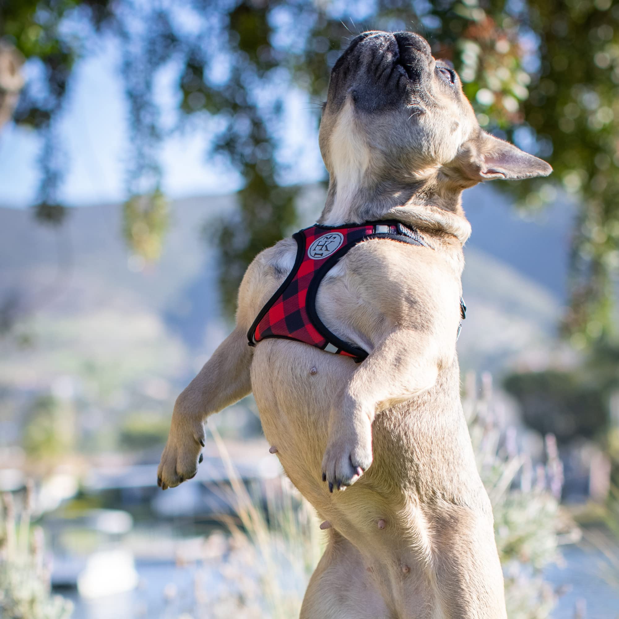 Huxley & Kent Scout LoPro breathable chest mesh distributes pressure to reduce neck strain.