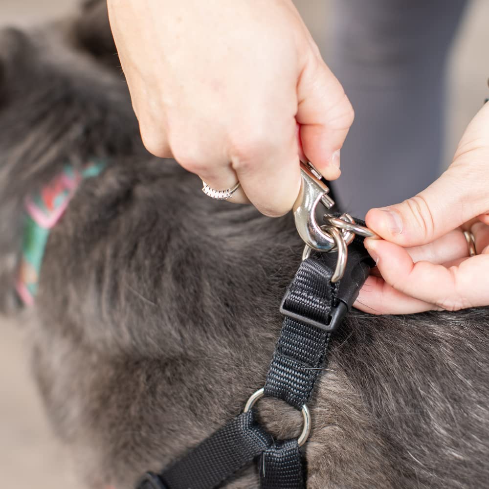 Huxley & Kent Scout LoPro dual D-rings provide extra leash control during training.
