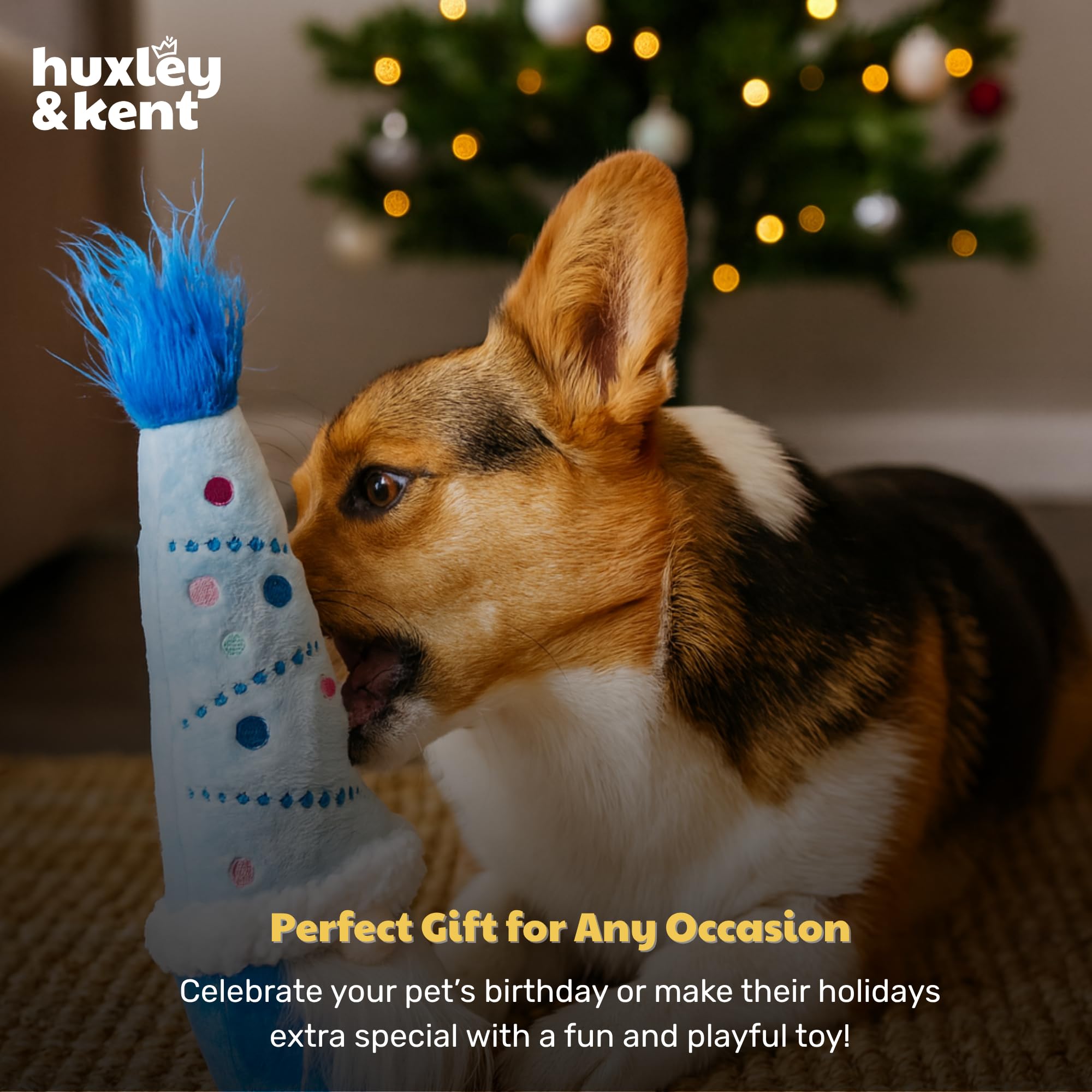 Huxley & Kent Winter Wonder Gnome one-size fits all dogs