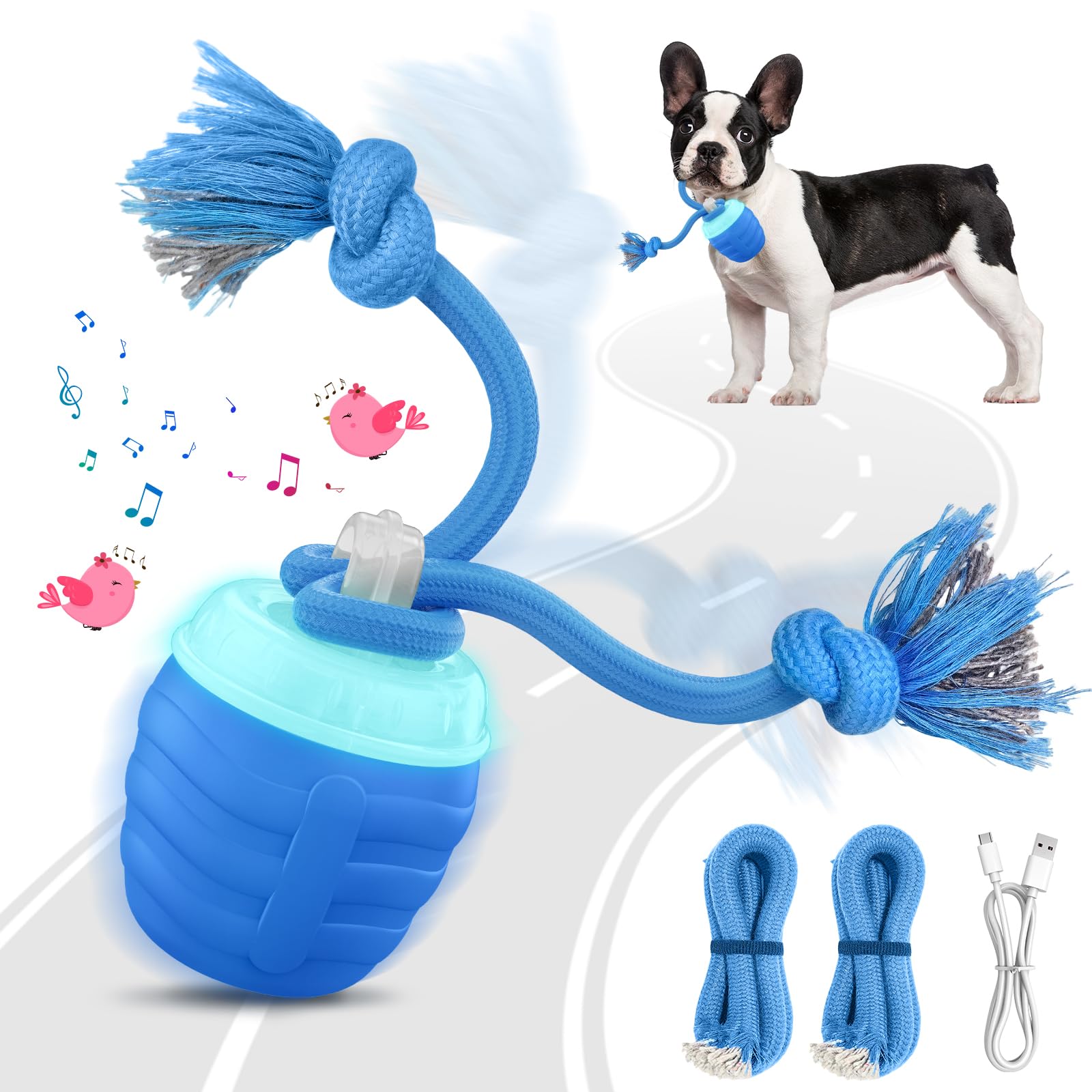 HVUATQ dog ball blue front view promotes active play and mental stimulation.