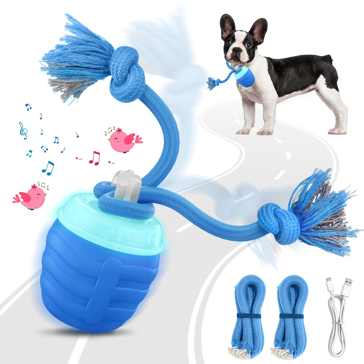 HVUATQ dog ball blue front view promotes active play and mental stimulation.