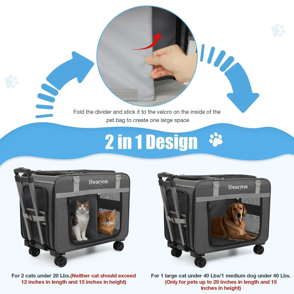 HWAEYEM carrier interior spacious design offers comfortable travel for larger cats.