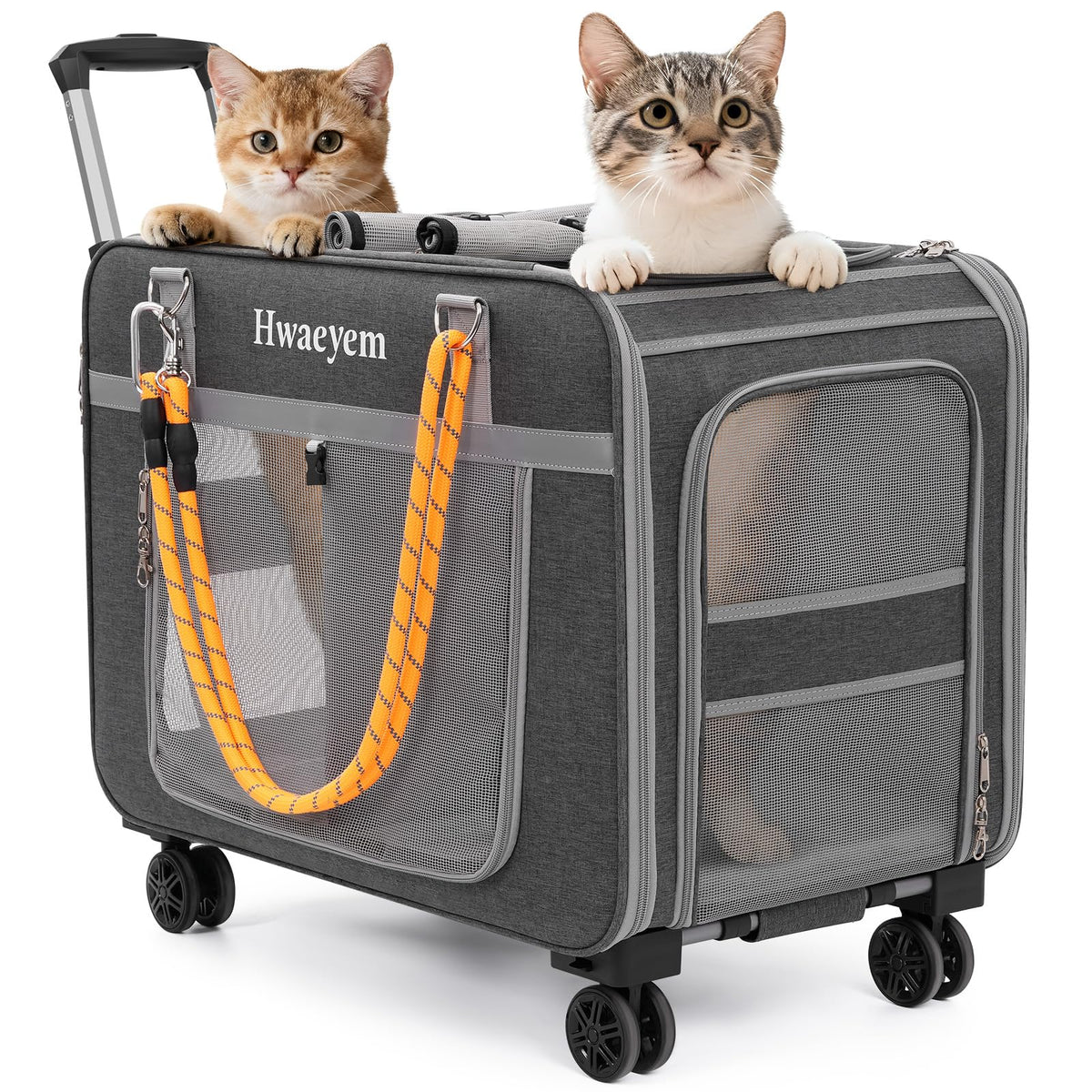 HWAEYEM extra-large cat carrier with wheels front view highlights easy multi-pet transport