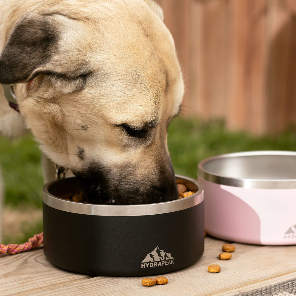 Hydrapeak dog bowl is easy to clean and dishwasher safe.