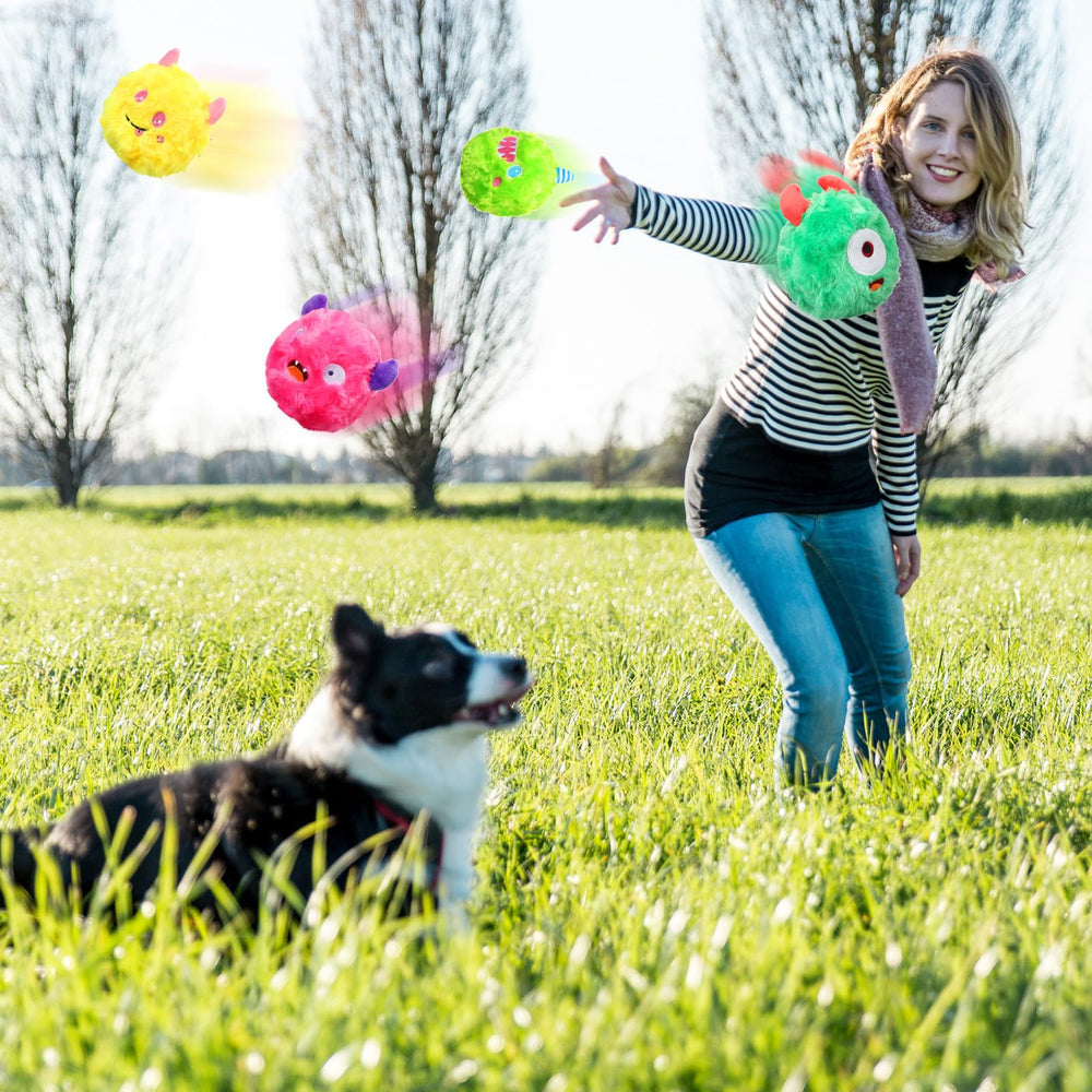 HyDren Christmas-themed plush balls making a festive gift for puppies