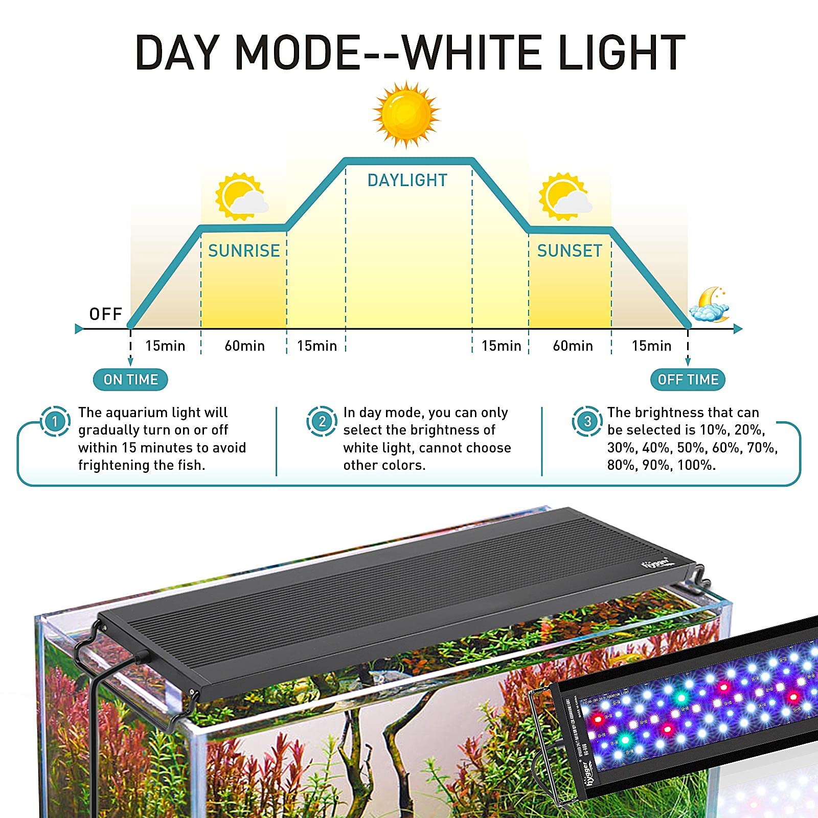 hygger 24/7 light cycle supports natural day-night transitions in your tank.