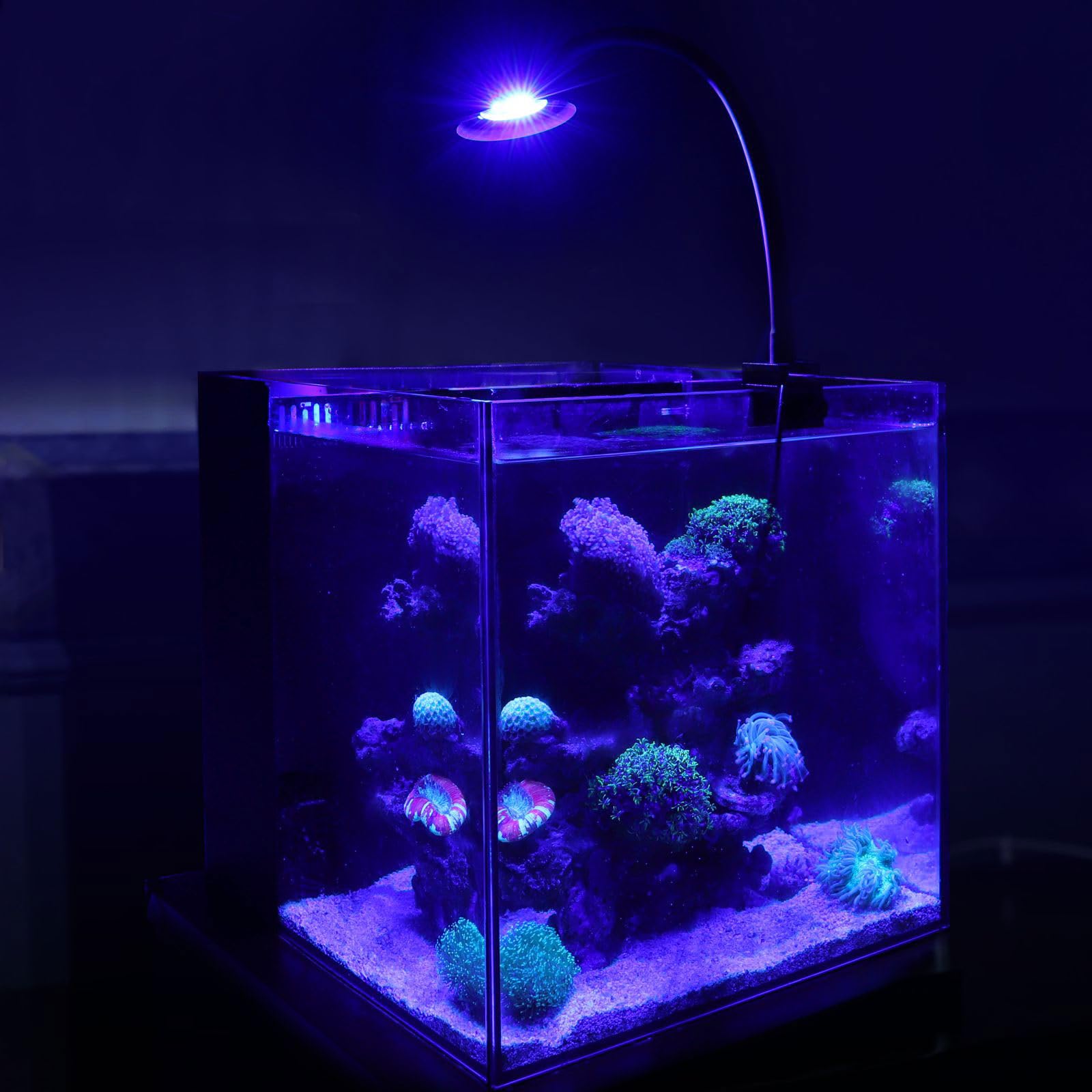 Hygger 30W reef light silent fan reduces heat with minimal noise