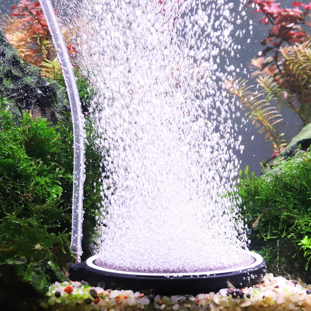Hygger air stone disc 4x4 releases fine bubbles for steady oxygenation in aquariums.