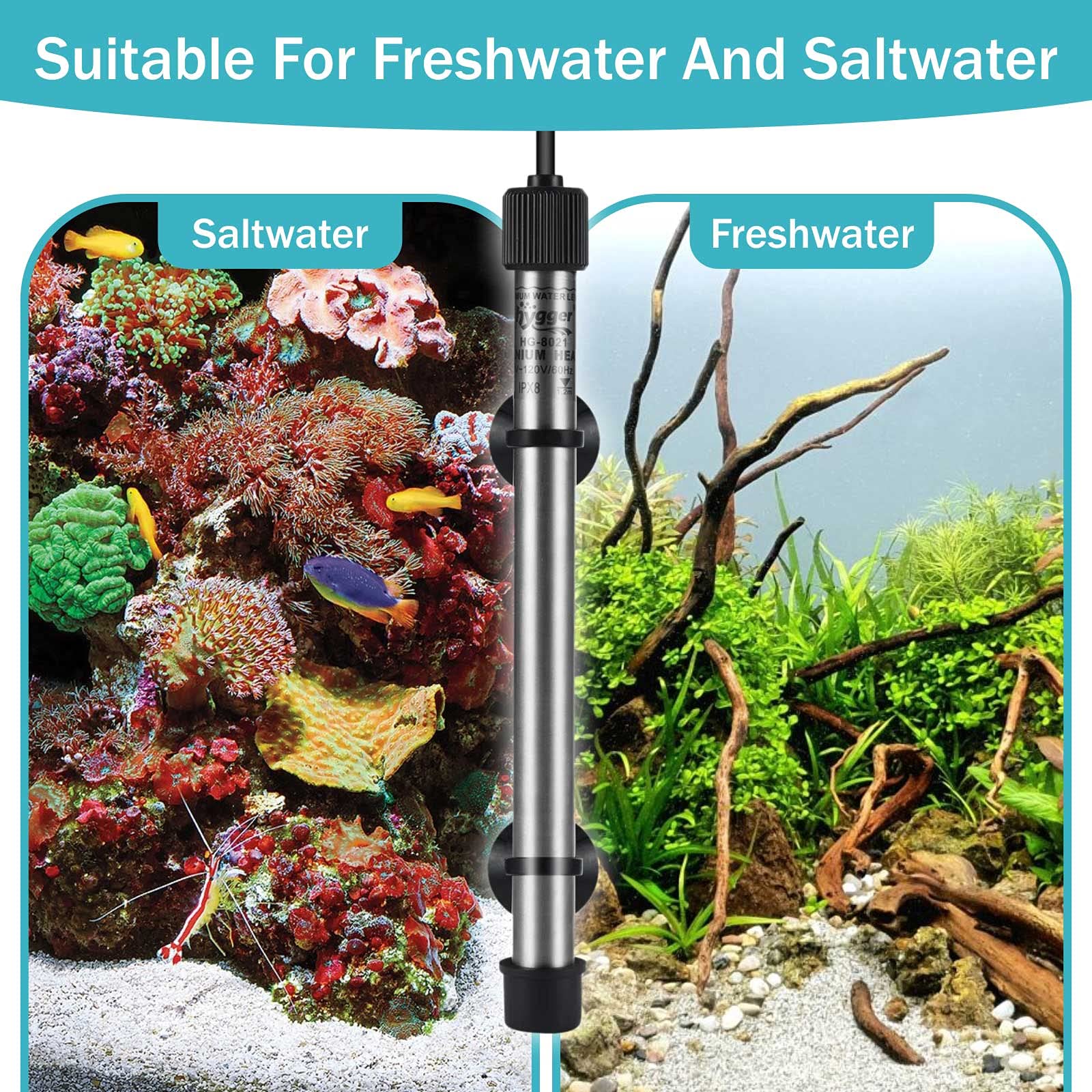 Hygger aquarium use shows freshwater compatibility for versatile tank setups.