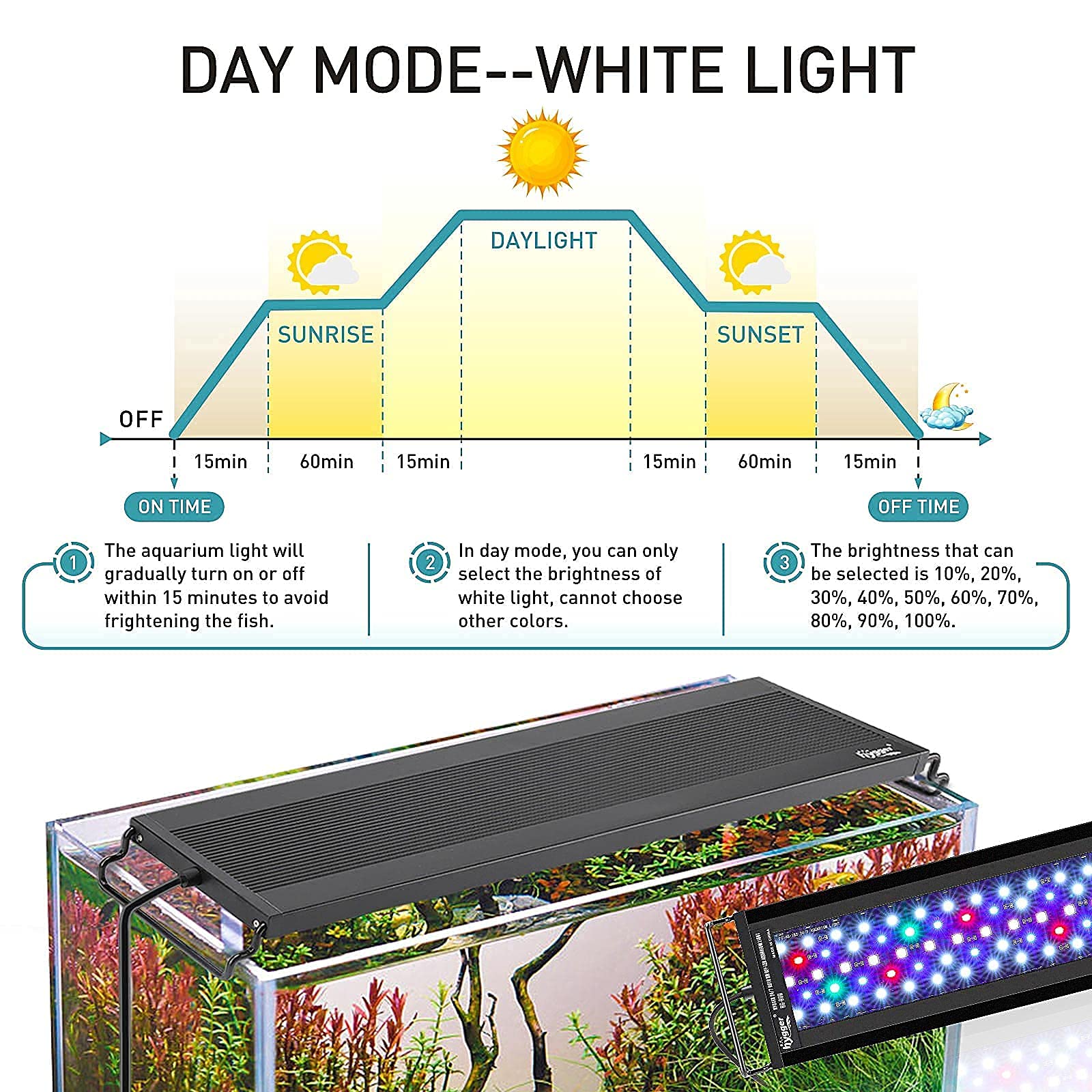 hygger Auto On Off LED aquarium light night mode color options enhance viewing
