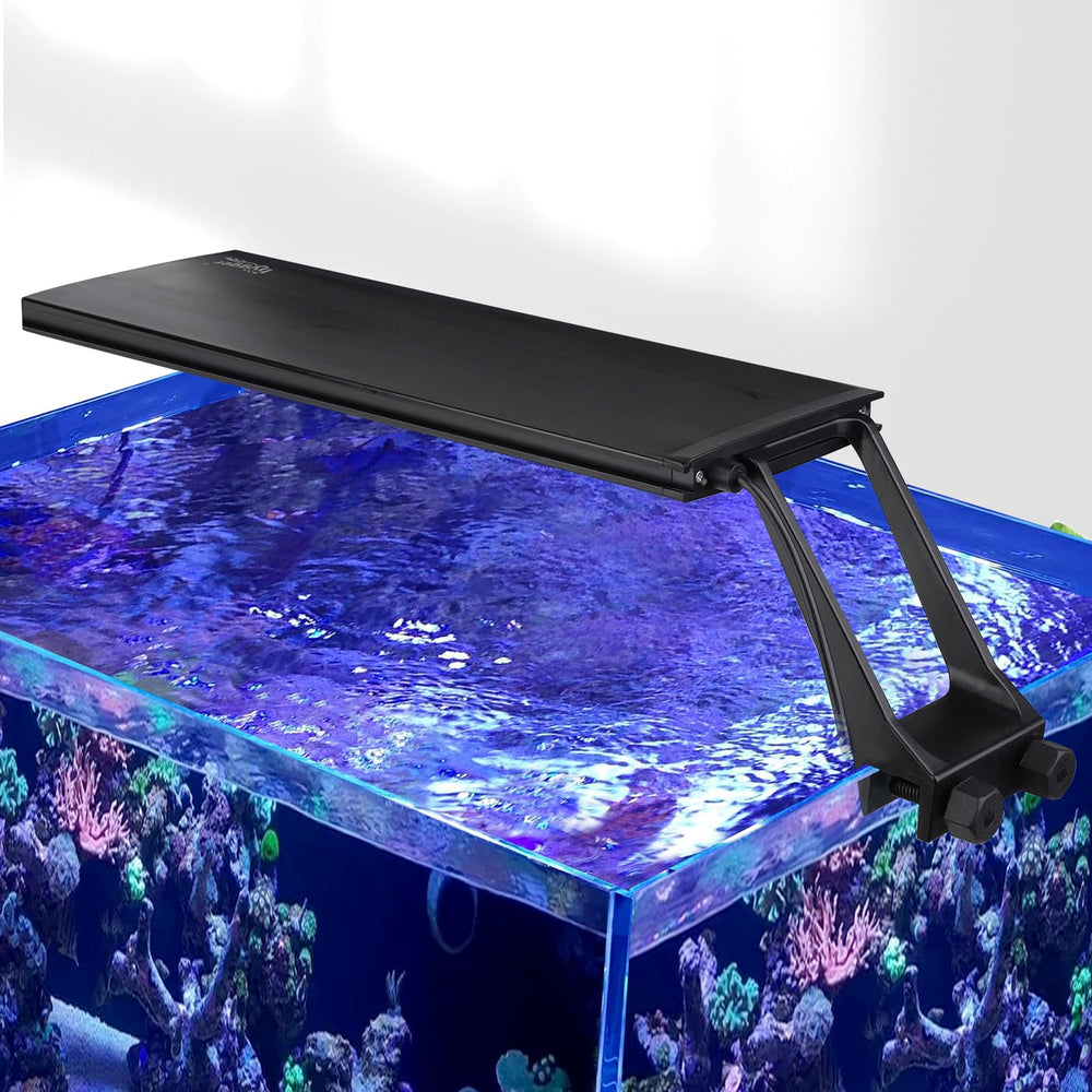 Hygger Clip-On Sunrise LED with dawn glow for coral viewing