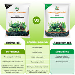 Hygger CO2 aquarium soil 3-5mm particles promoting stable root anchoring.