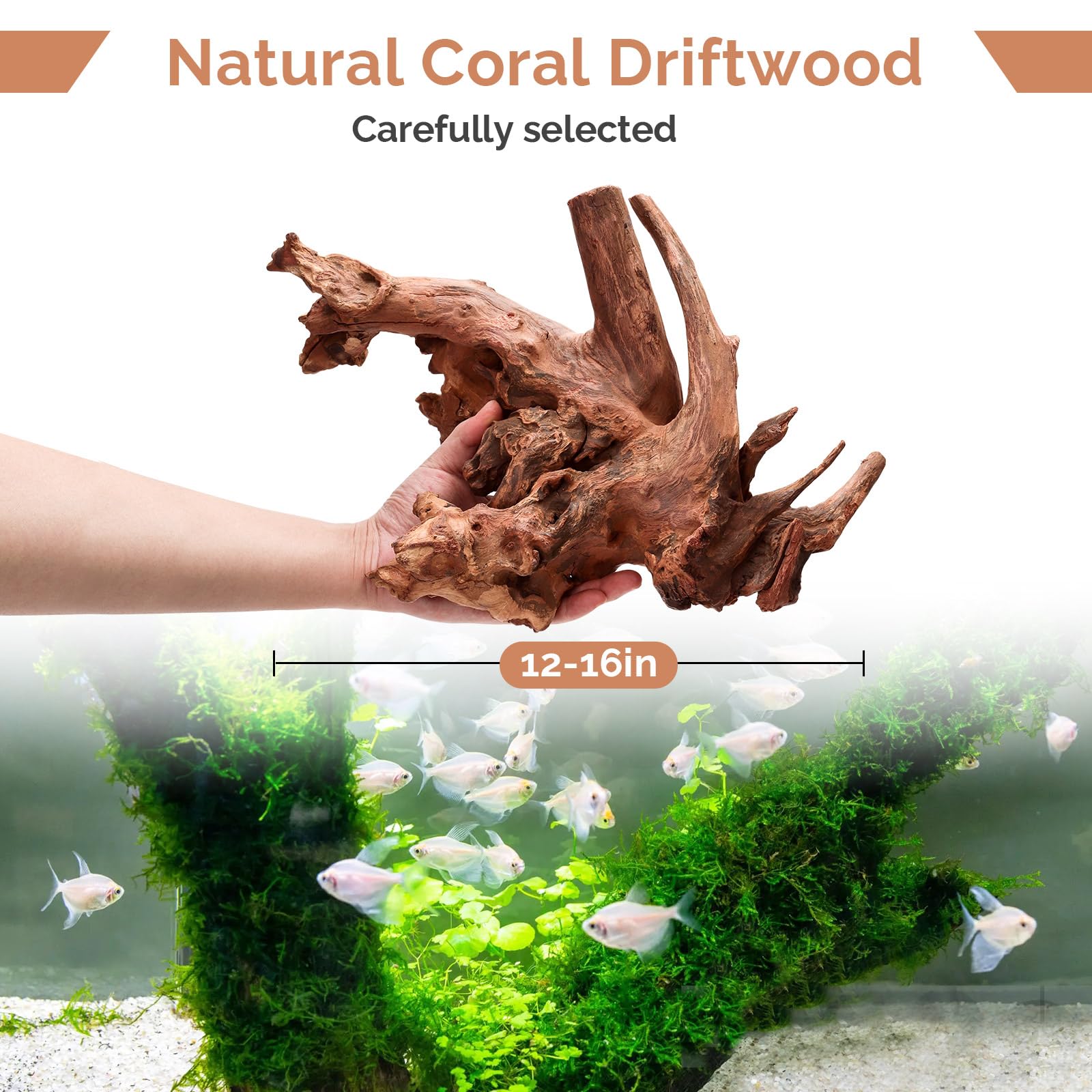 Hygger CO2 coral driftwood texture closeup showing organic detail for aquascaping.