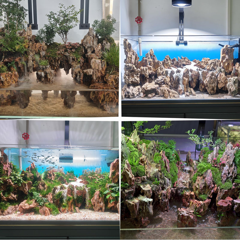 Hygger CO2 dragon stone terrarium landscaping for mixed habitats.