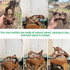 Hygger CO2 Driftwood aquarium setup idea demonstrates a natural aquascape focal point.