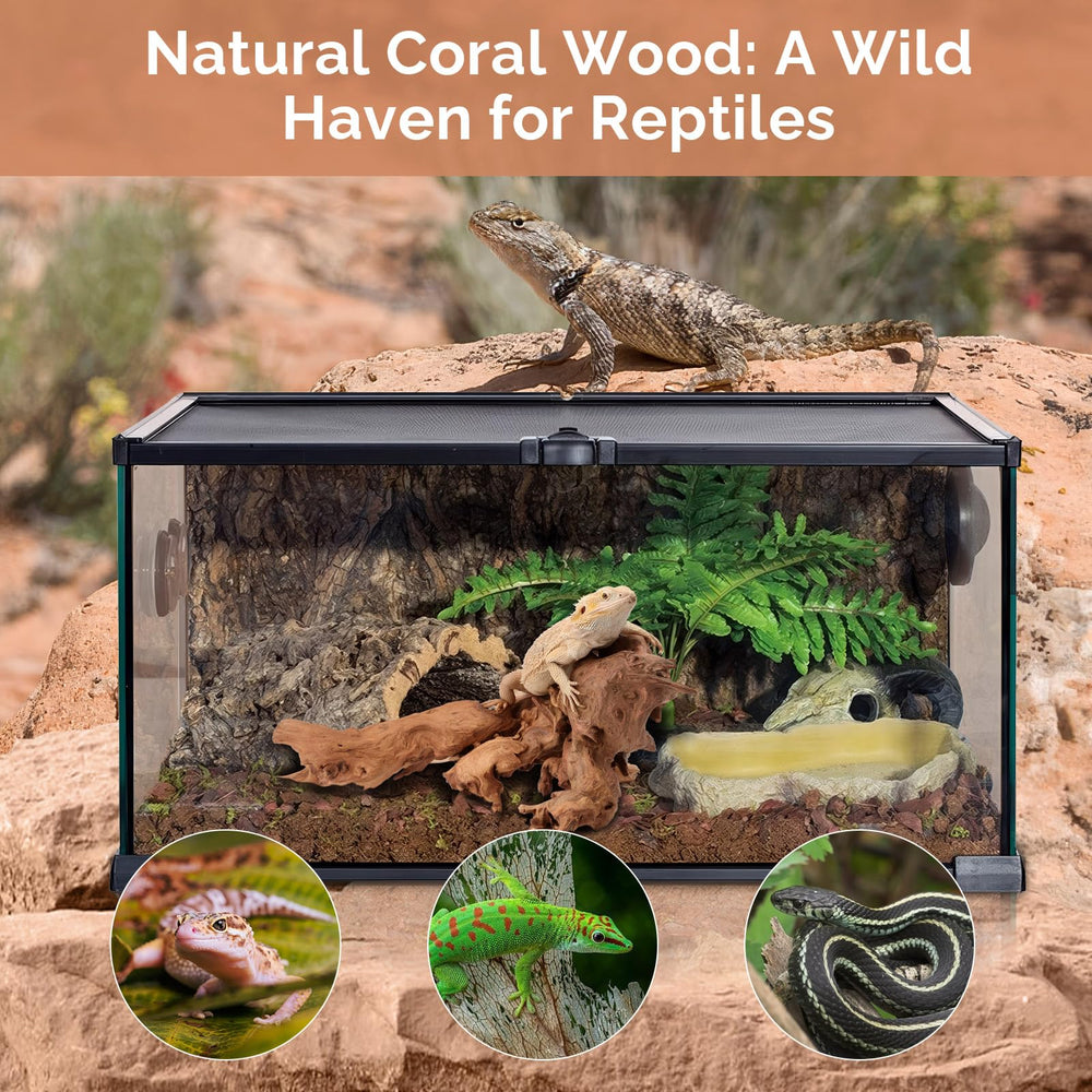 Hygger CO2 driftwood hideout scene in fish tank providing shelter for shrimp and small fish.