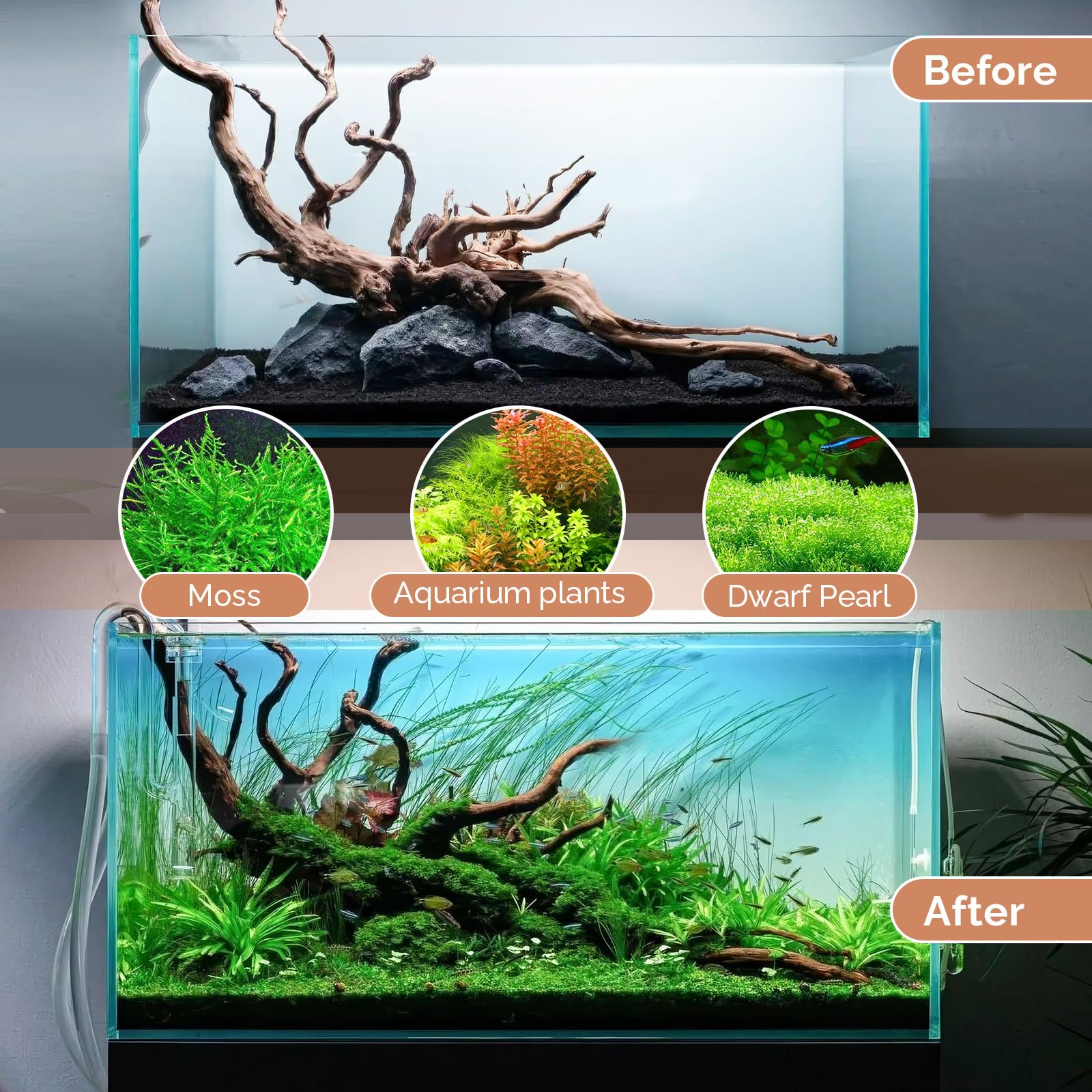 Hygger CO2 driftwood underwater bark detail highlighting natural wood textures.