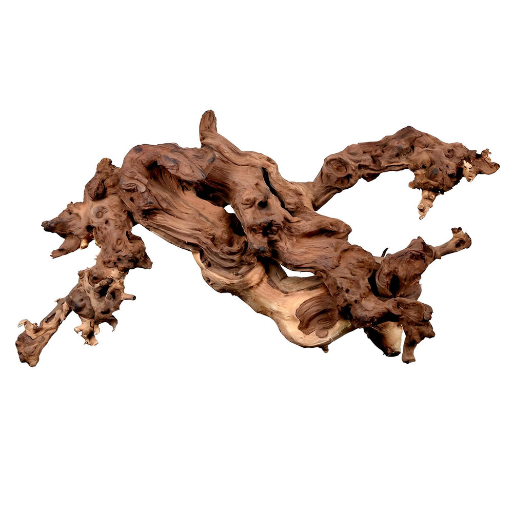 Hygger CO2 natural driftwood for aquarium 12-16 inch enhances underwater landscape.