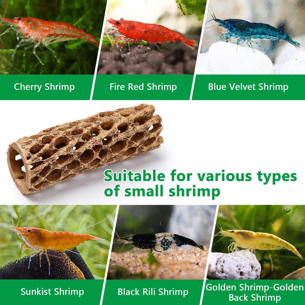 Hygger CO2 resin cholla wood durable resin ensures water-safe aquarium decoration.