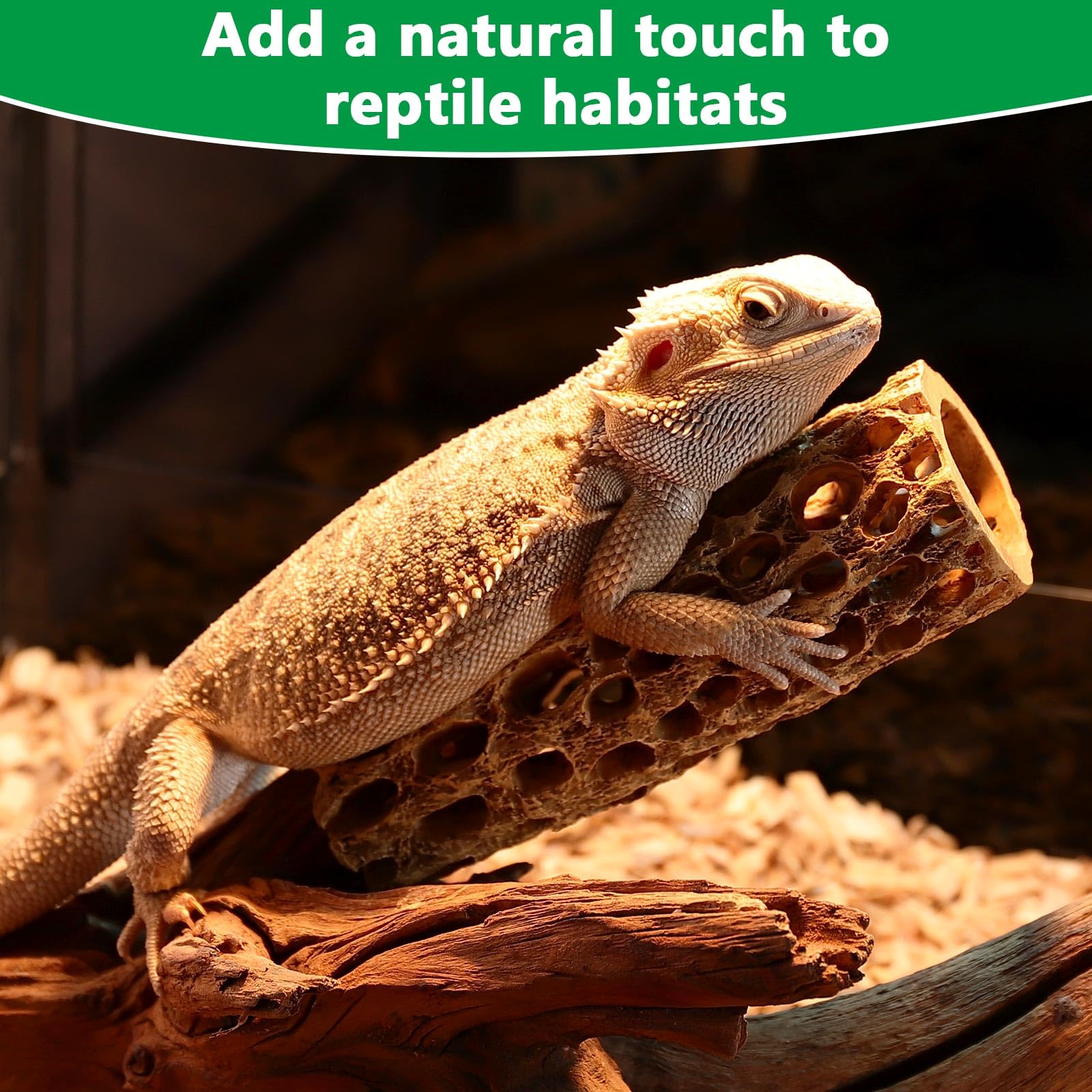Hygger CO2 resin cholla wood easy cleaning design simplifies tank maintenance.