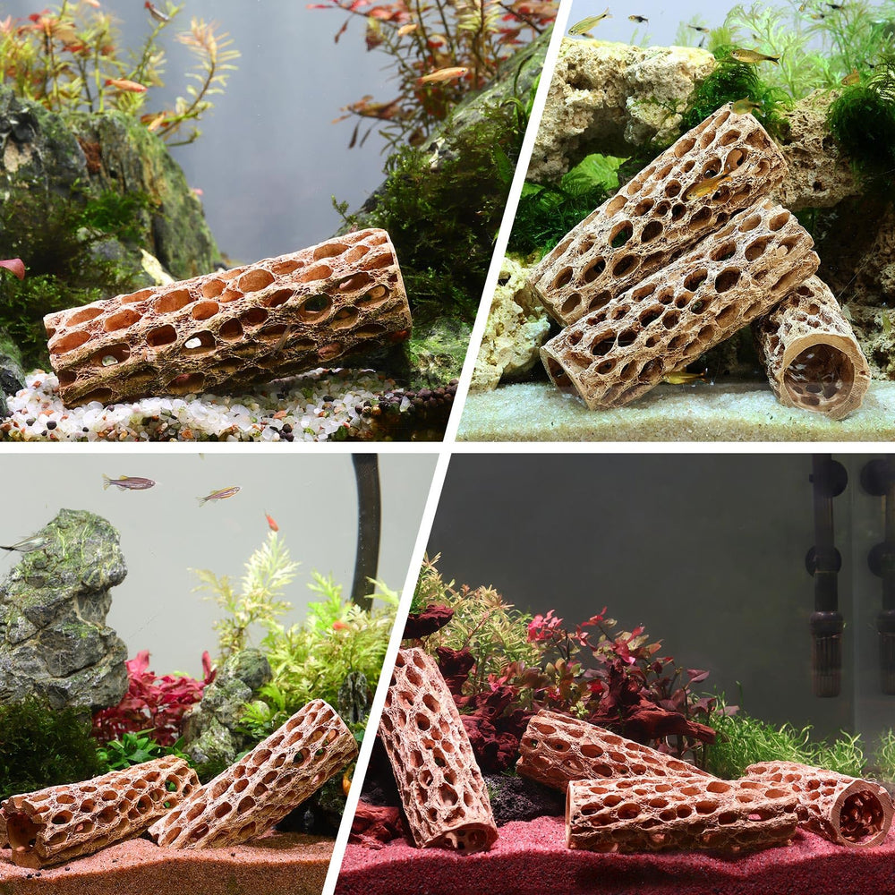Hygger CO2 resin cholla wood suitable for freshwater and saltwater setups.