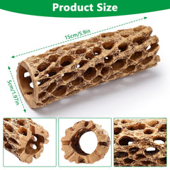 Hygger CO2 resin cholla wood shrimp hideout provides safe shelter for shy shrimp.