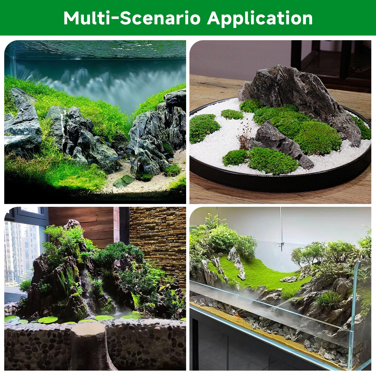 Hygger CO2 Seiryu rock in paludarium setup as stable landscape feature.