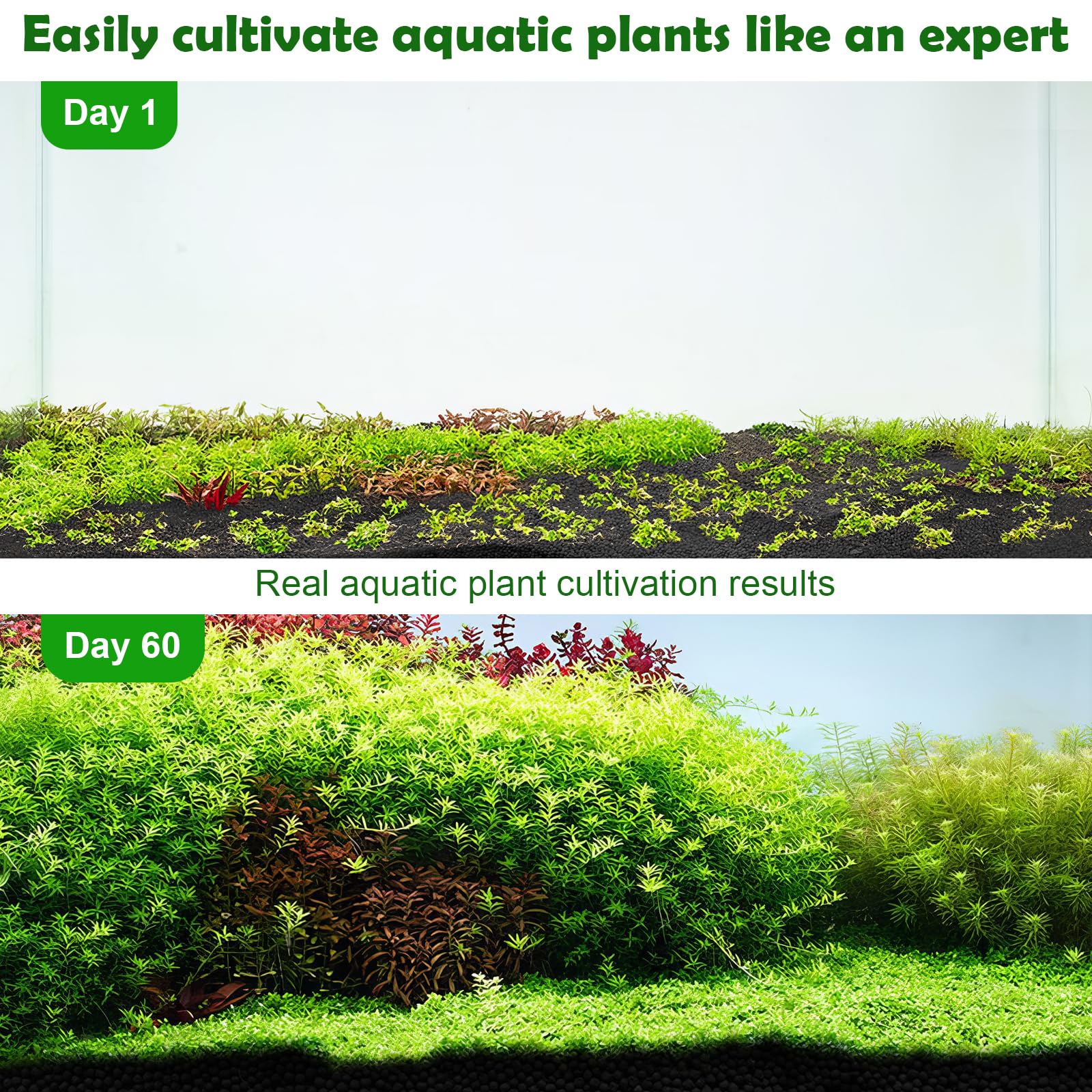 Hygger CO2 shrimp soil 3-5 mm size supports plant roots and stability.