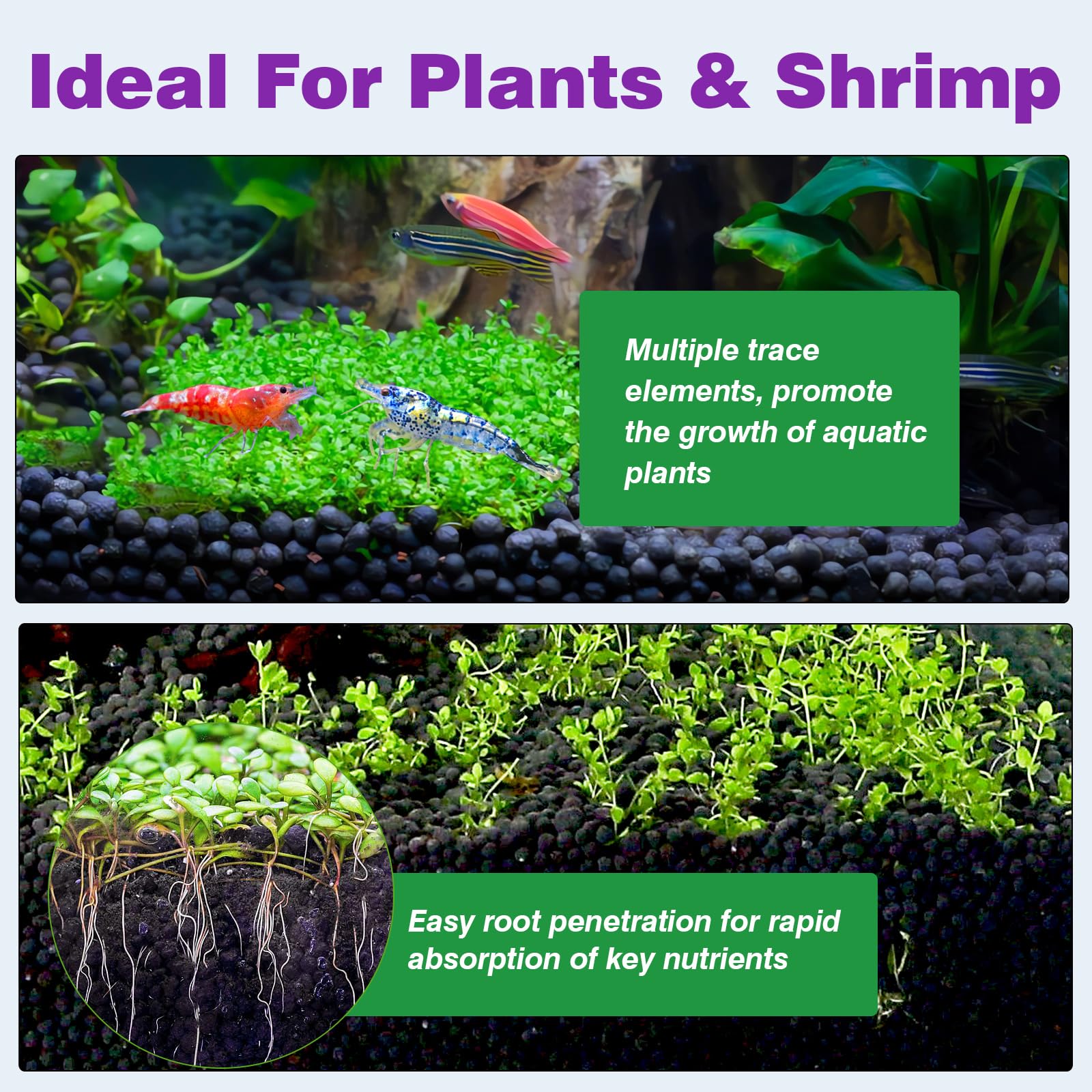 Hygger CO2 Upgraded Aquarium Soil planted-tank layout reveals vibrant aquascape potential.