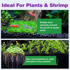 Hygger CO2 Upgraded Aquarium Soil planted-tank layout reveals vibrant aquascape potential.