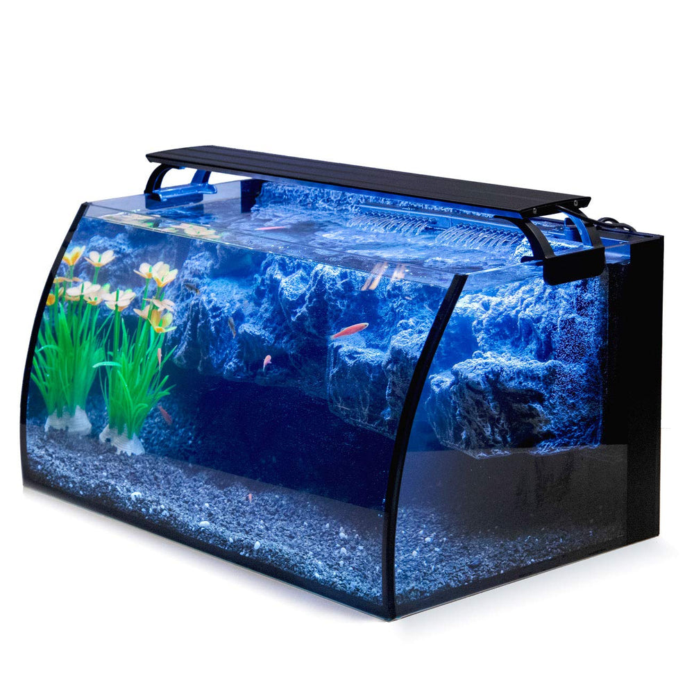 hygger Horizon 8gallon curved tank enables wide viewing for easy observation.