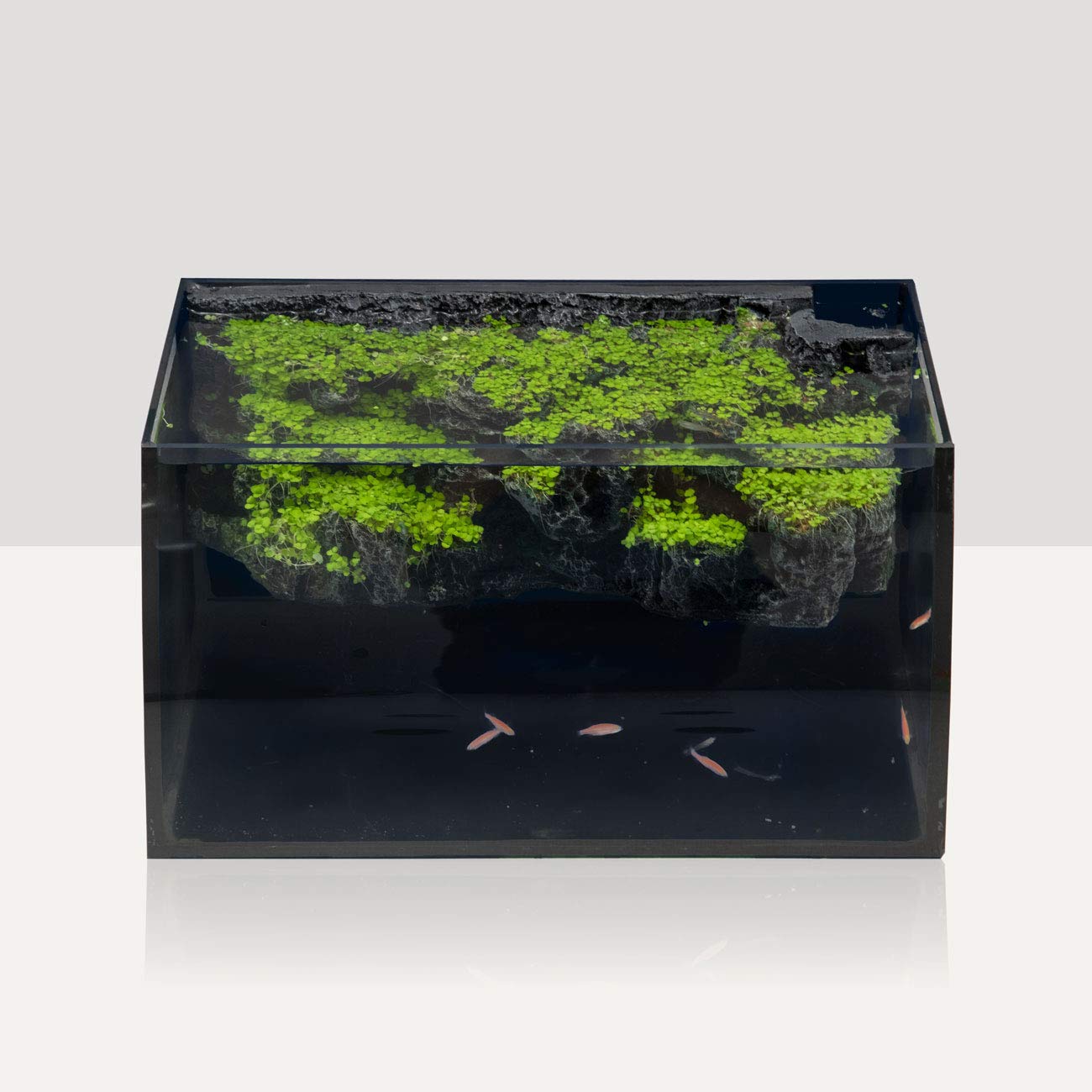 hygger Horizon triple-layer packaging protects the tank during shipping.