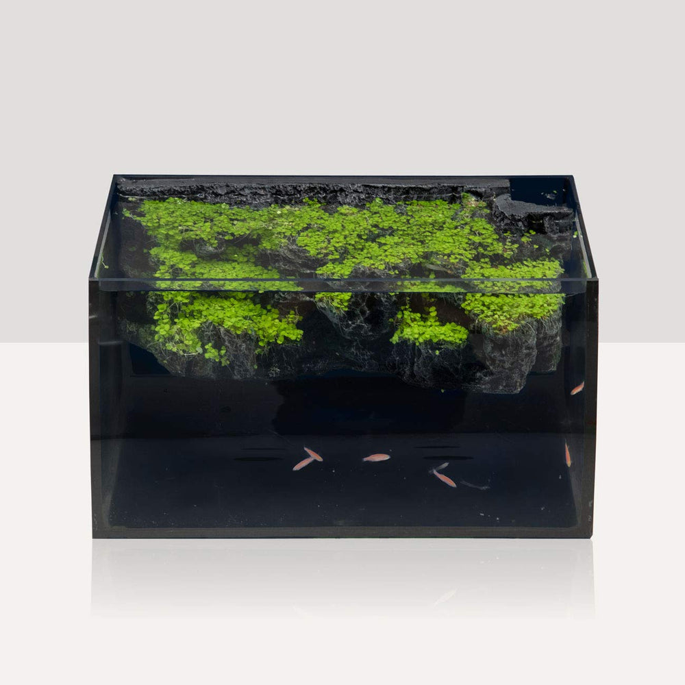 hygger Horizon triple-layer packaging protects the tank during shipping.