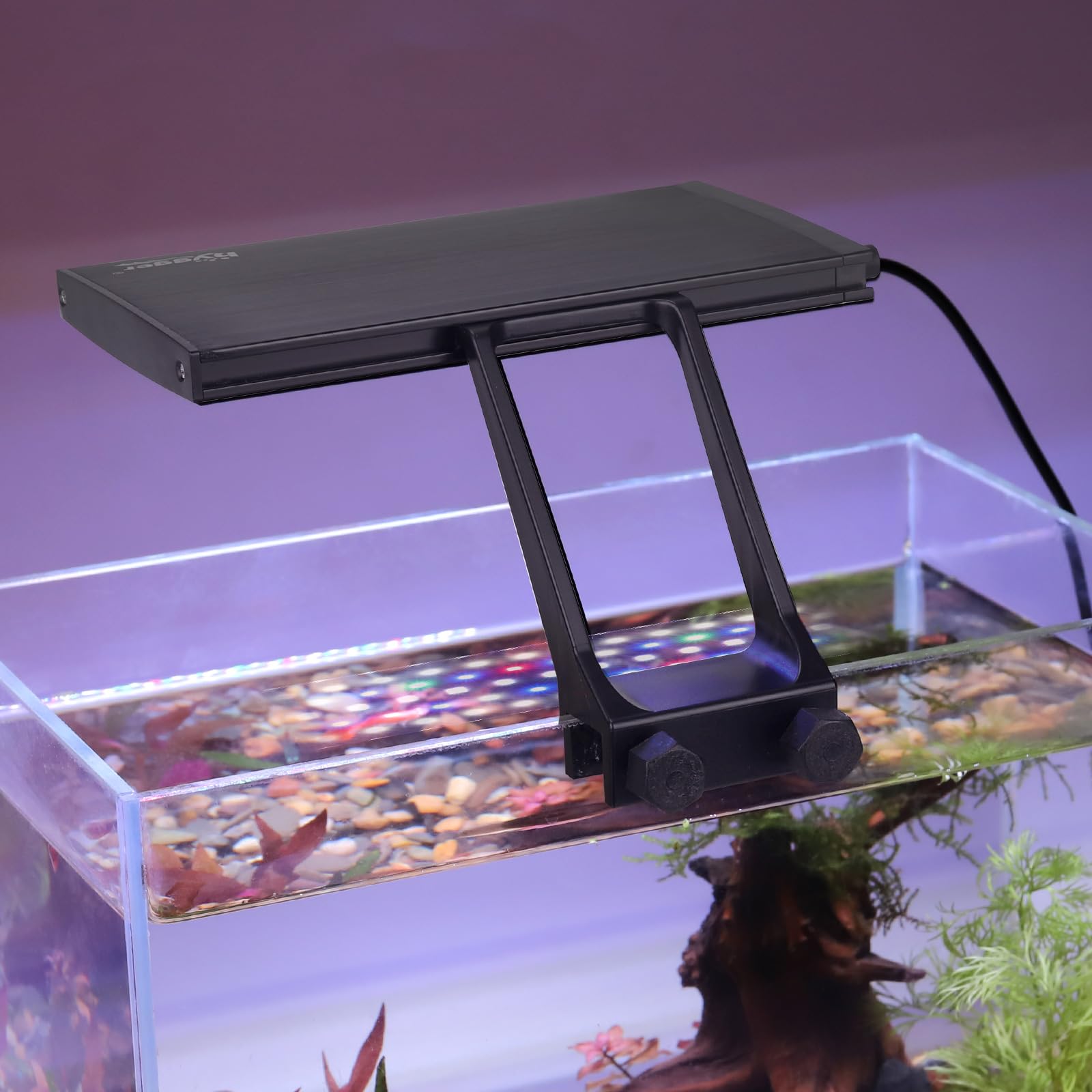 Hygger planted-tank light for 7–10 inch tanks enables balanced growth.