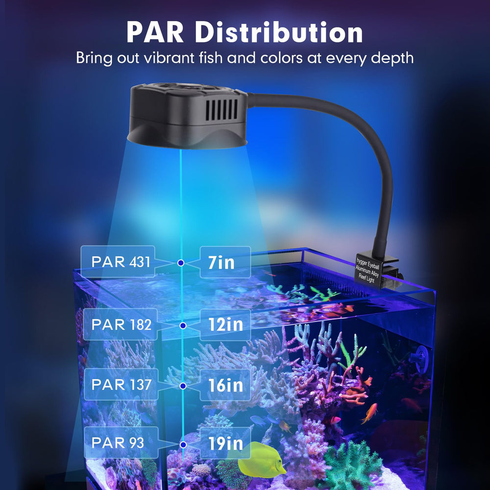 hygger rust-resistant bracket supports durable mounting in saltwater aquariums